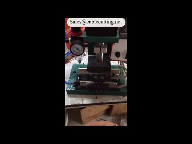 Præcis elektrisk varmeafisoleringsmaskine WPM-2015