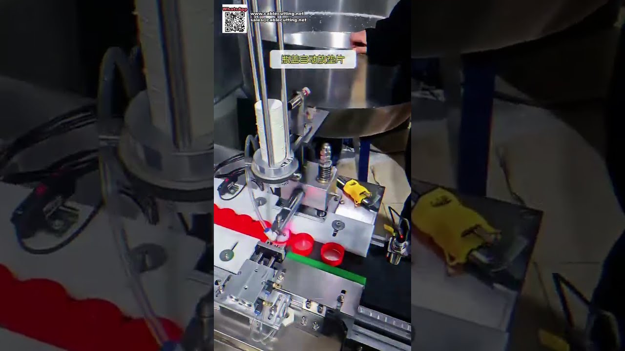Automatisk lågsamlingsmaskine og metaldetektionsudstyr til fødevareindustrien - Shorts