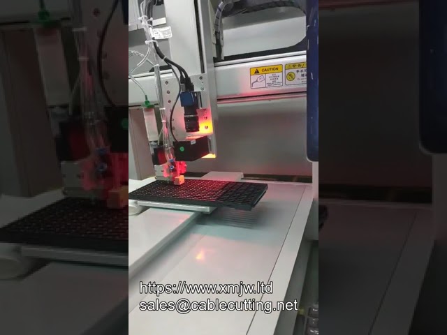 OEM-tilpasset 3-akslet visionslimdispenser | Robotisk computerstyring og visuel programmering