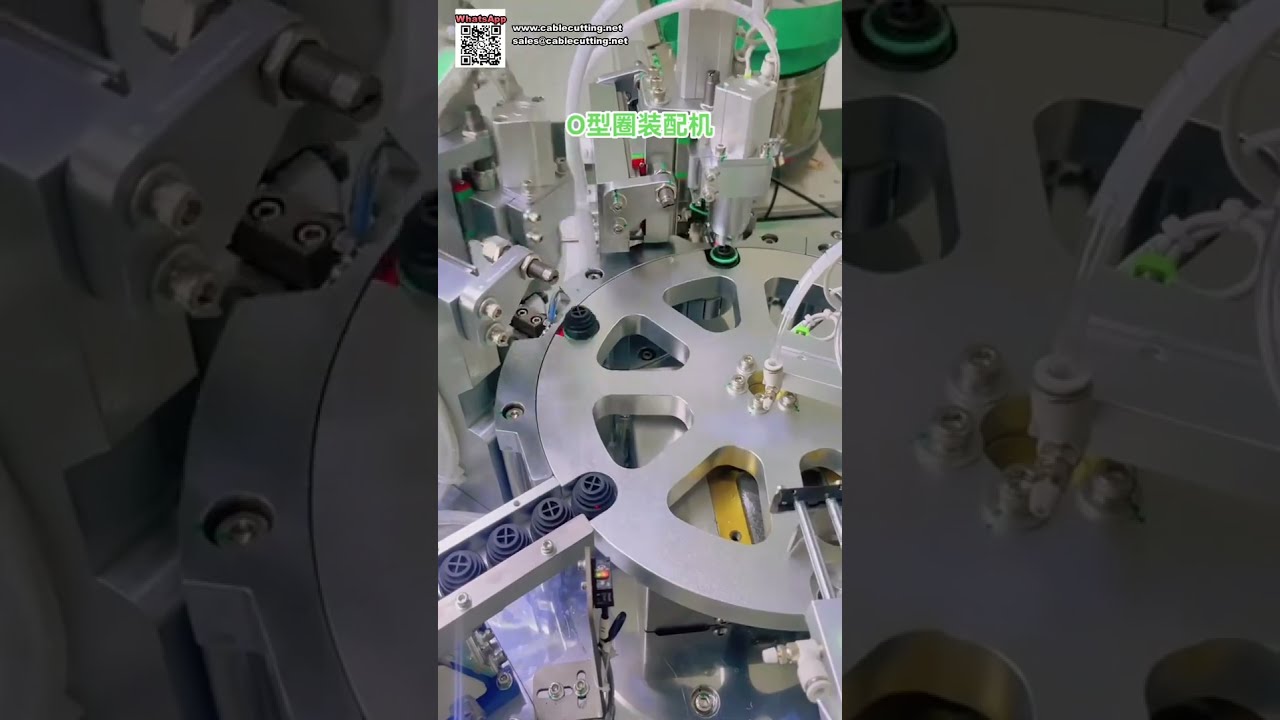 O-Ring Samlemaskine til Pneumatisk Cylinder Komponenter - Fabrik - Shorts