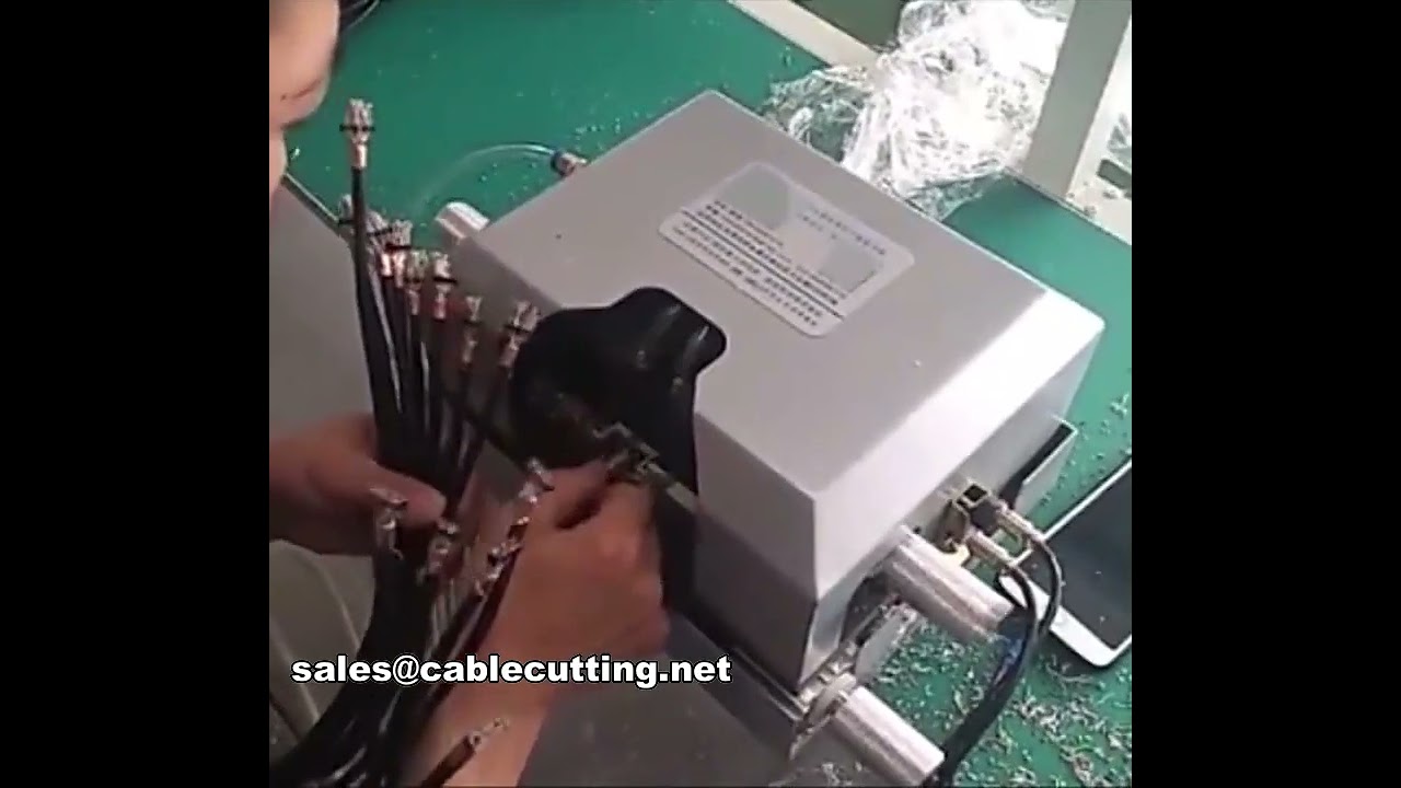 Effektiv afisolering: WPM-012 dobbelt parallel maskine til flerkernetråd